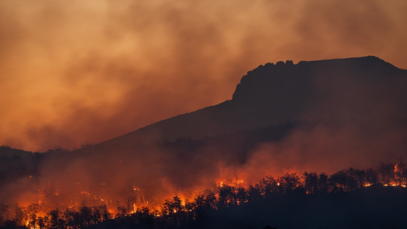 The Impact of Bushfires on Air Quality